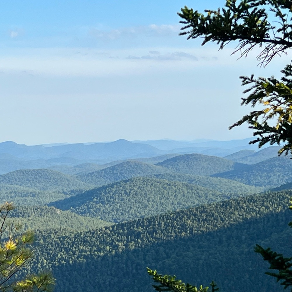 ▪️Live Show Listing▪️